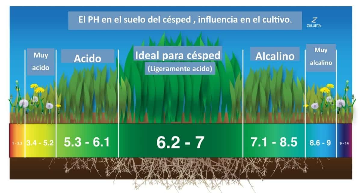 Escala Del Ph En El Suelo