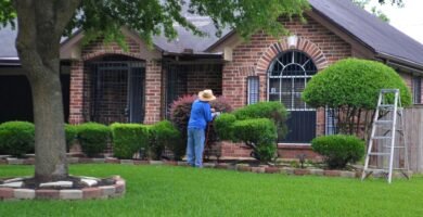 Jardin-y-exterior-houston-tx